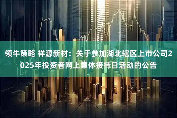 领牛策略 祥源新材：关于参加湖北辖区上市公司2025年投资者网上集体接待日活动的公告