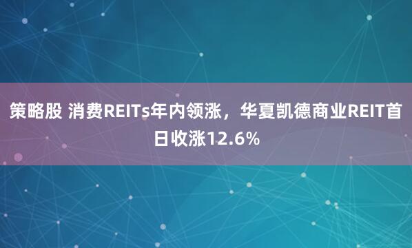 策略股 消费REITs年内领涨，华夏凯德商业REIT首日收涨12.6%