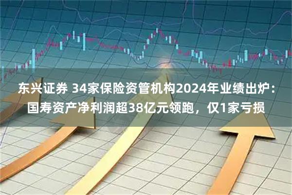 东兴证券 34家保险资管机构2024年业绩出炉：国寿资产净利润超38亿元领跑，仅1家亏损