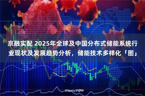 京融实配 2025年全球及中国分布式储能系统行业现状及发展趋势分析，储能技术多样化「图」